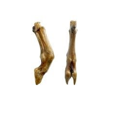 %100 Doğal Kuzu Paça Sakatat Köpek Ödülü 1 Adet